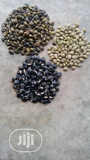 Mucuna Pruriens Seeds