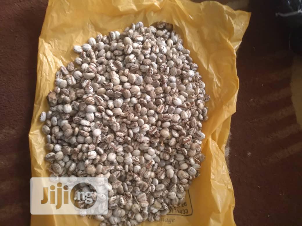 Castor Seeds - Brazilian White