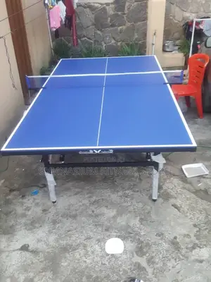 Outdoor Table Tennis Strike R56