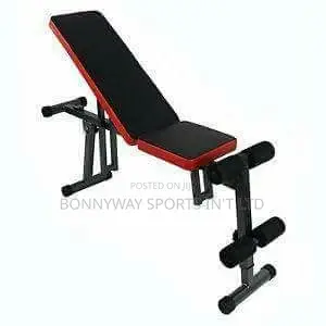 Adjustable Incline Tummy Bench