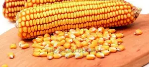 Automatic Maize /Corn Threshing Machine