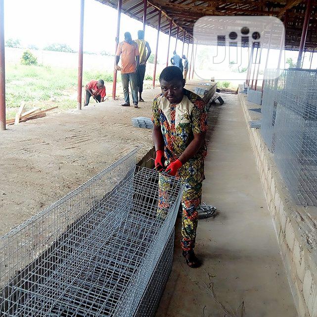 Battery Cage