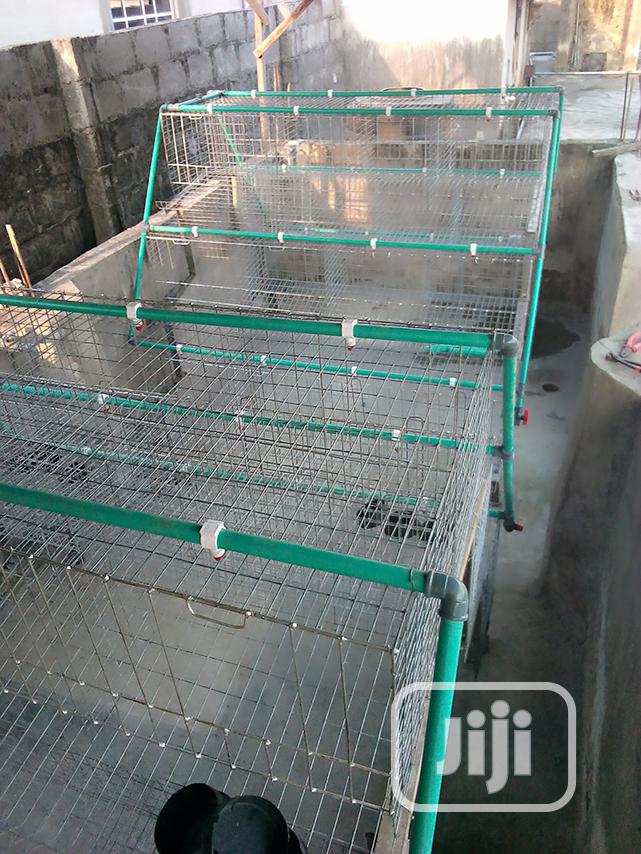 Battery Cage
