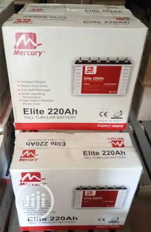220A Mercury Tubular Battery