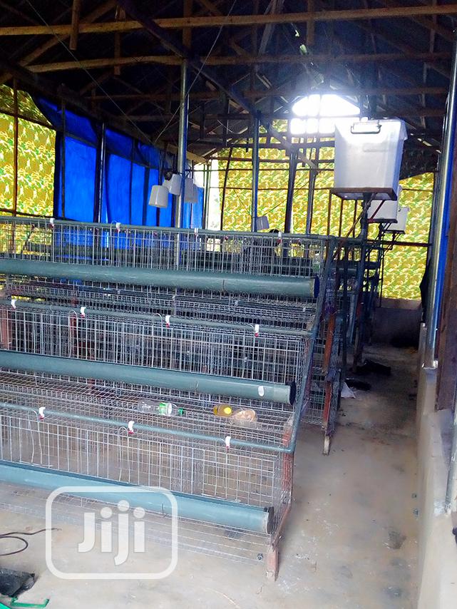 Battery Cage