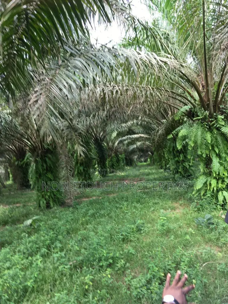 Vegetable Oil Factory At Sango Ogun State