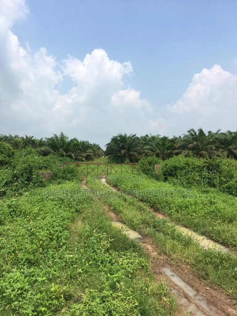 Vegetable Oil Factory At Sango Ogun State