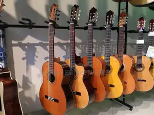 Neat Used Limited Edition Classical/Nylon String Guitars