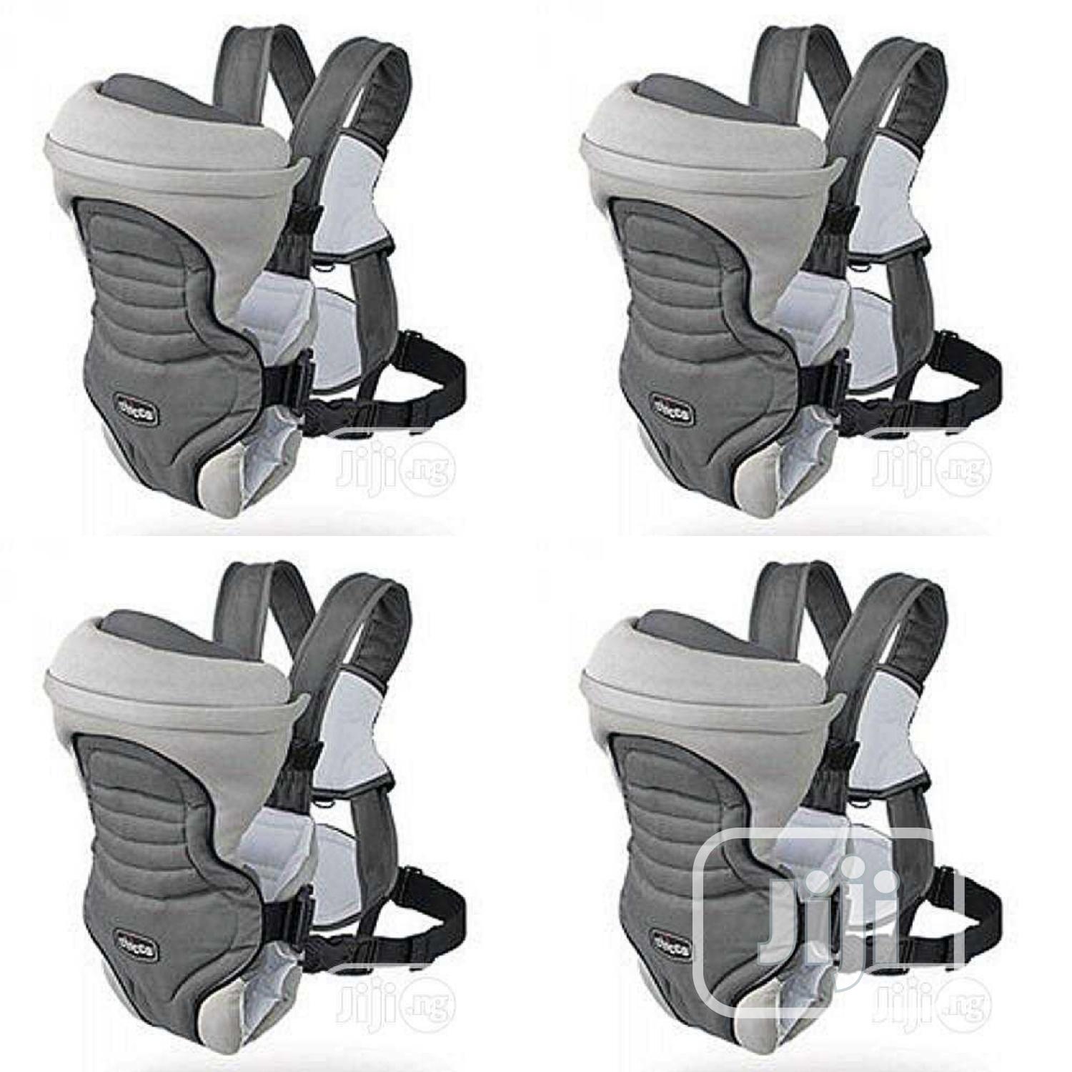 Baby Carrier And Protector