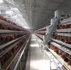Poultry Cages Imported Chicken Cages Battery Cages Galvanized Cages