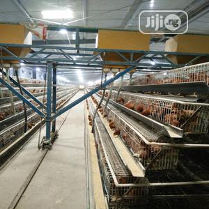 Battery Cage / Poultry Cages