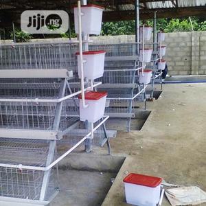 Battery Cages China
