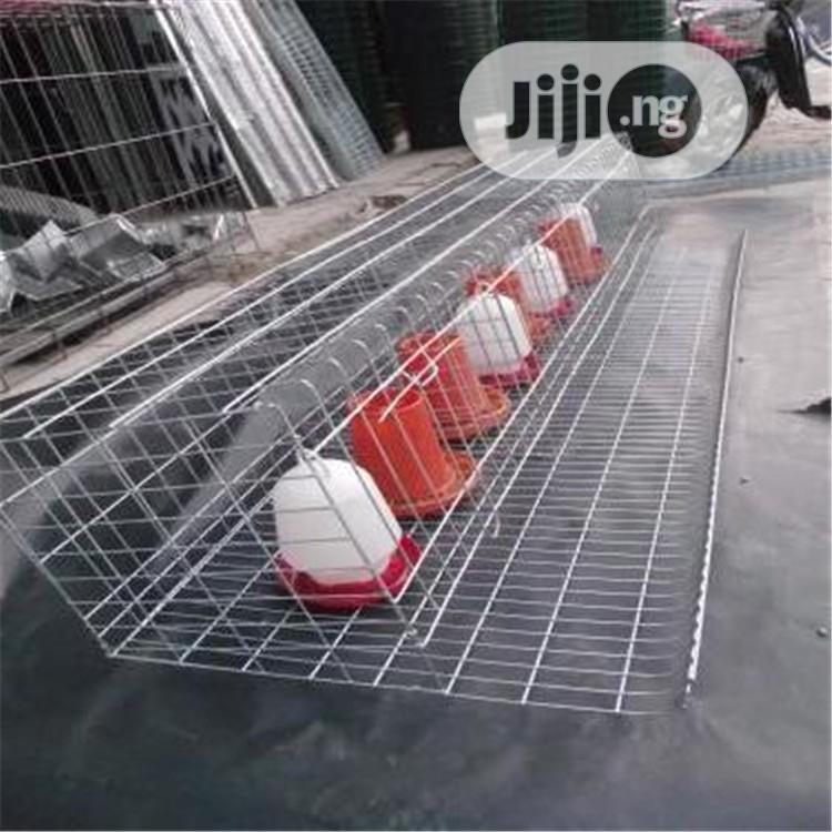 Battery Cages China