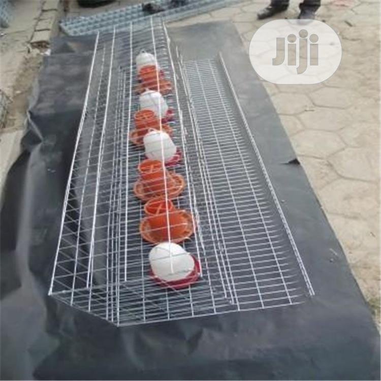 Battery Cages China