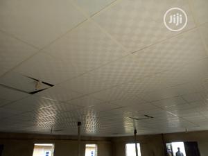 Ceiling Supply and Installation