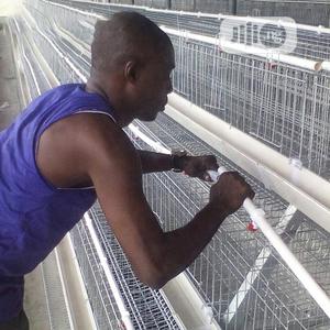 Battery Cages Best Hot Dipped Galvanized Battery Cages