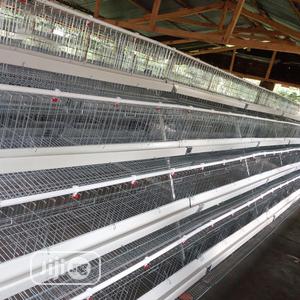 Battery Cages Best Hot Dipped Galvanized Battery Cages