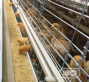China Factory Best A Type Battery Cage Layers Cages