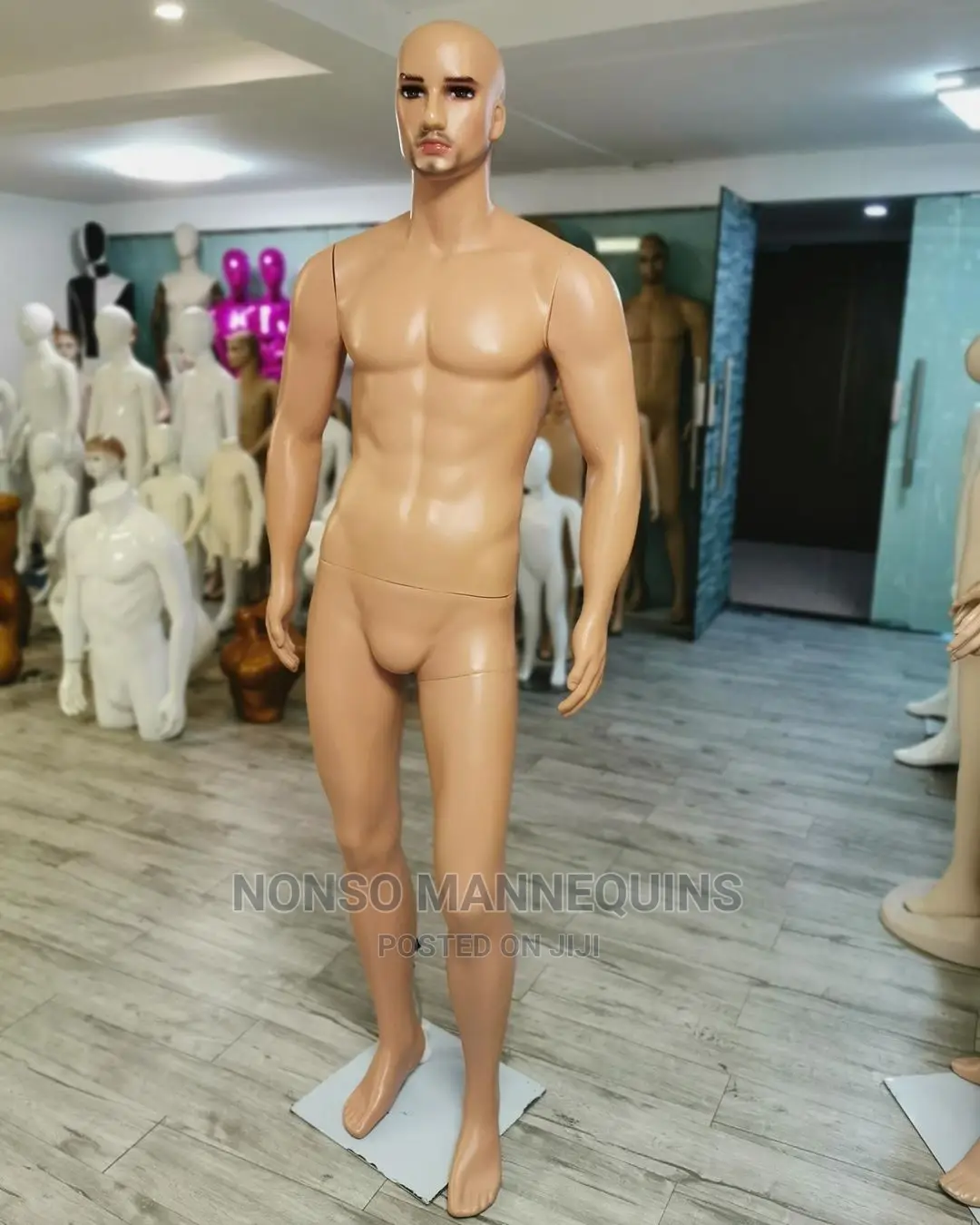 6packs Male Mannequin