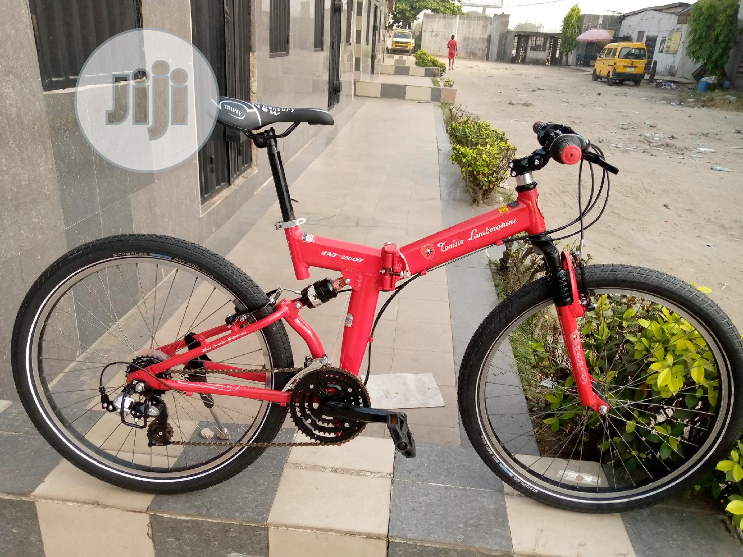 Folding Adult Sport Bicycle