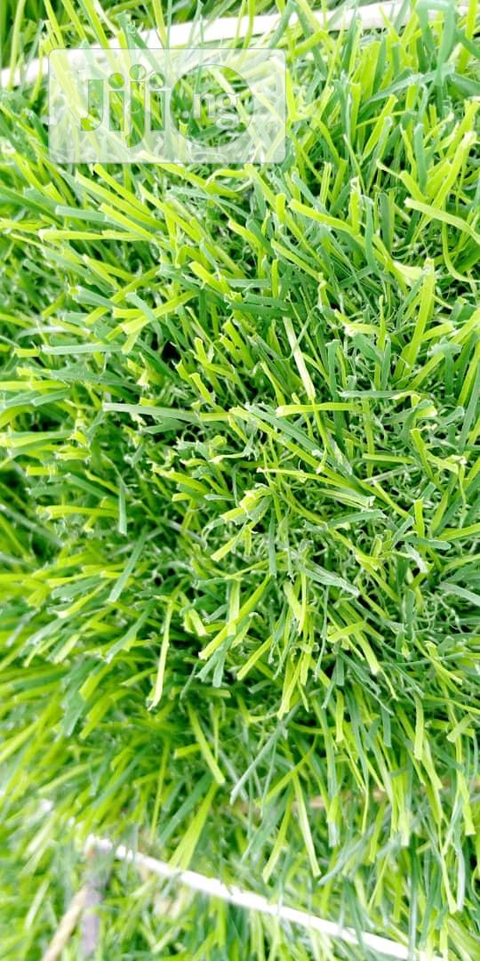 Quality Grass Rugs for Event