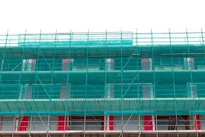 Scaffolding Net