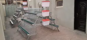 Electro Galvanized Battery Cage