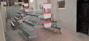 Electro Galvanized Battery Cage