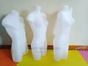 Pants N Bra Mannequins