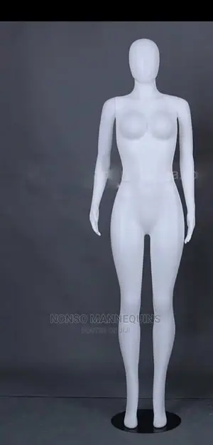 Female Abstract Mannequins