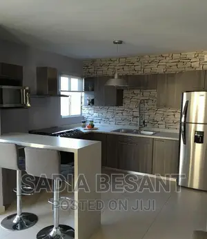 Kitchen Cabinet With Special Matt Board