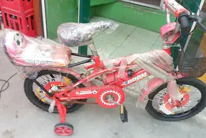 Size 16 Children Riding Bike