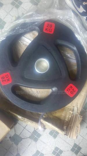 Olympic Weight 20kg Pair Steering 1