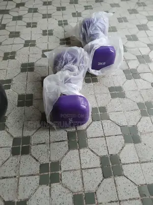 Pair Of 3kg Dumbbell Coated Purple
