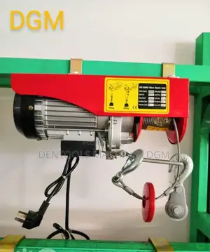 Electric Wire Hoist Crane 1000kg