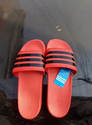 Photo - Adidas Palm GDFT
