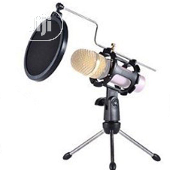 Studio Condenser Stand for Microphone With Filter Cover