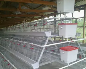 120 Layersgalvanized Battery Imported Cage 20 Years Lifespan