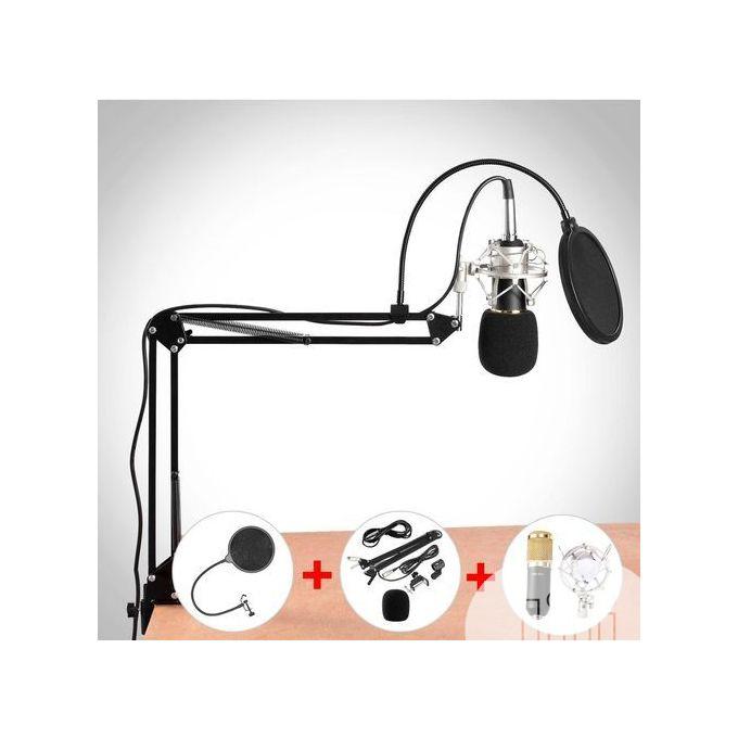 Dynamic System Mount Boom Condenser Microphone Studio Kit