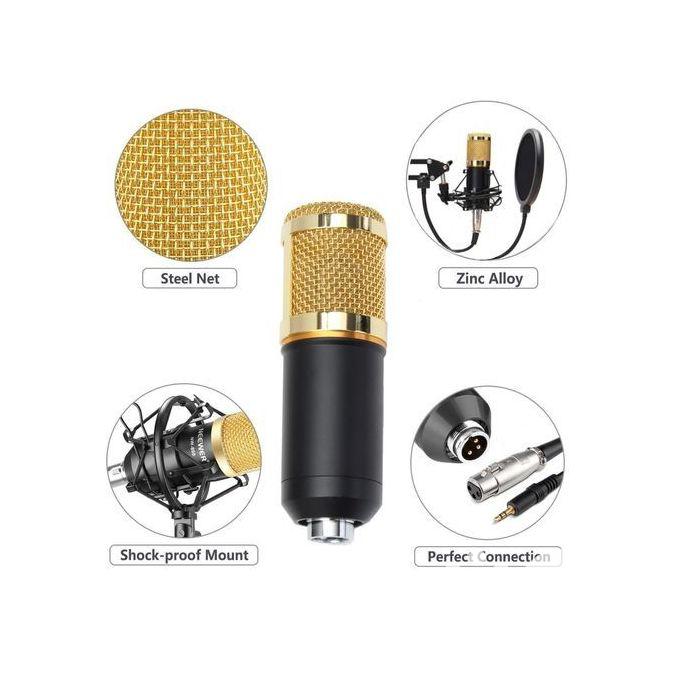 Dynamic System Mount Boom Condenser Microphone Studio Kit