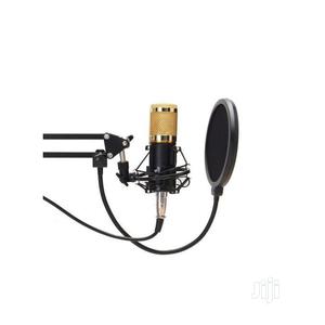 Dynamic System Mount Boom Condenser Microphone Studio Kit