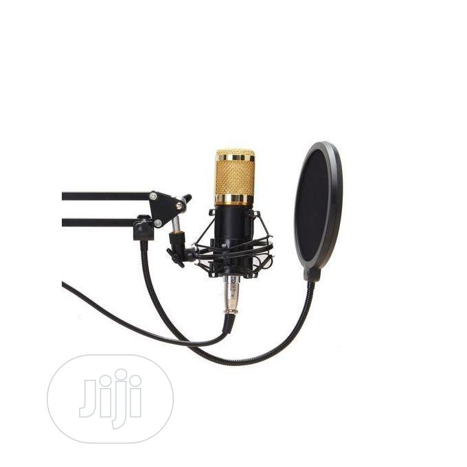 Dynamic System Mount Boom Condenser Microphone Studio Kit