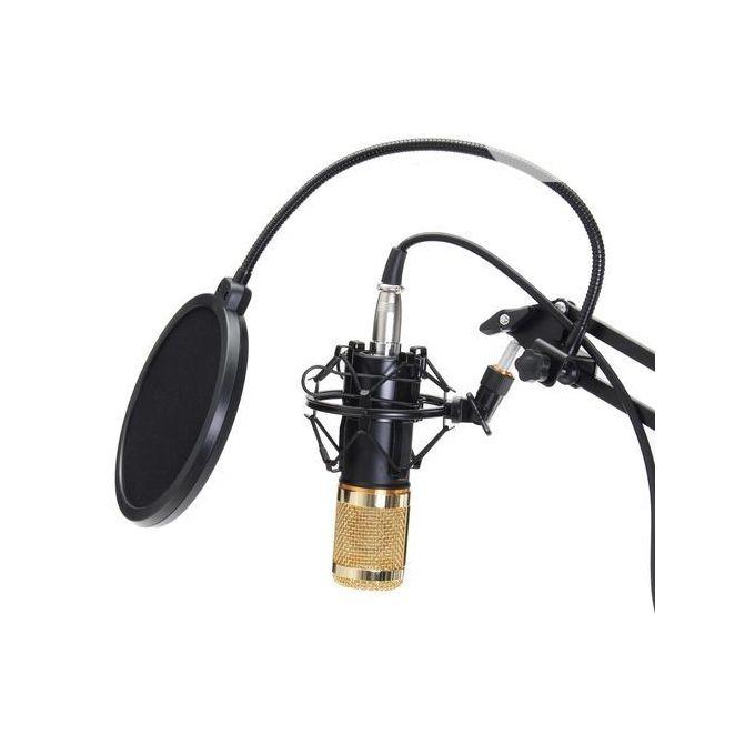 Dynamic System Mount Boom Condenser Microphone Studio Kit