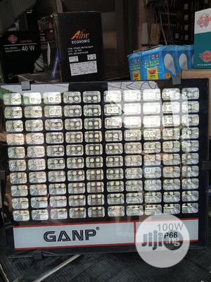100w Flood Light