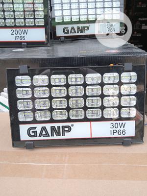 30w Flood Light