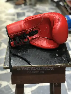 Professional Boxing Glove