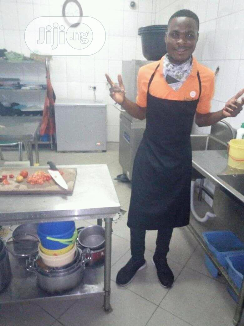Professional House Chef/Steward
