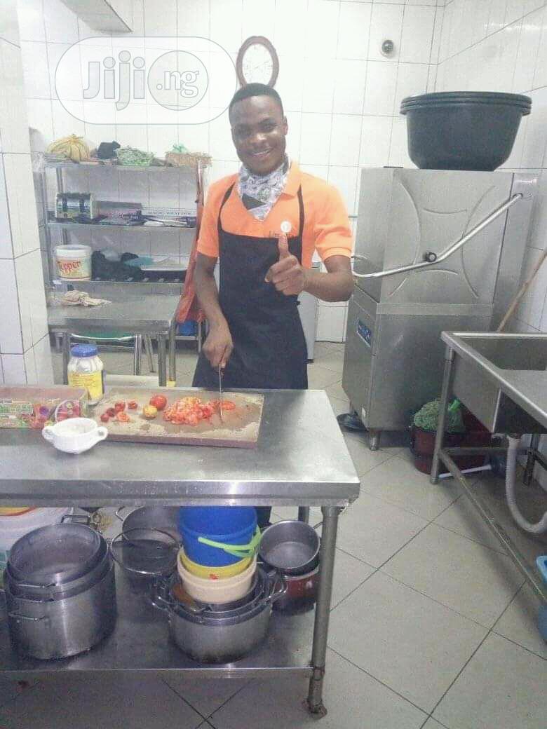 Professional House Chef/Steward