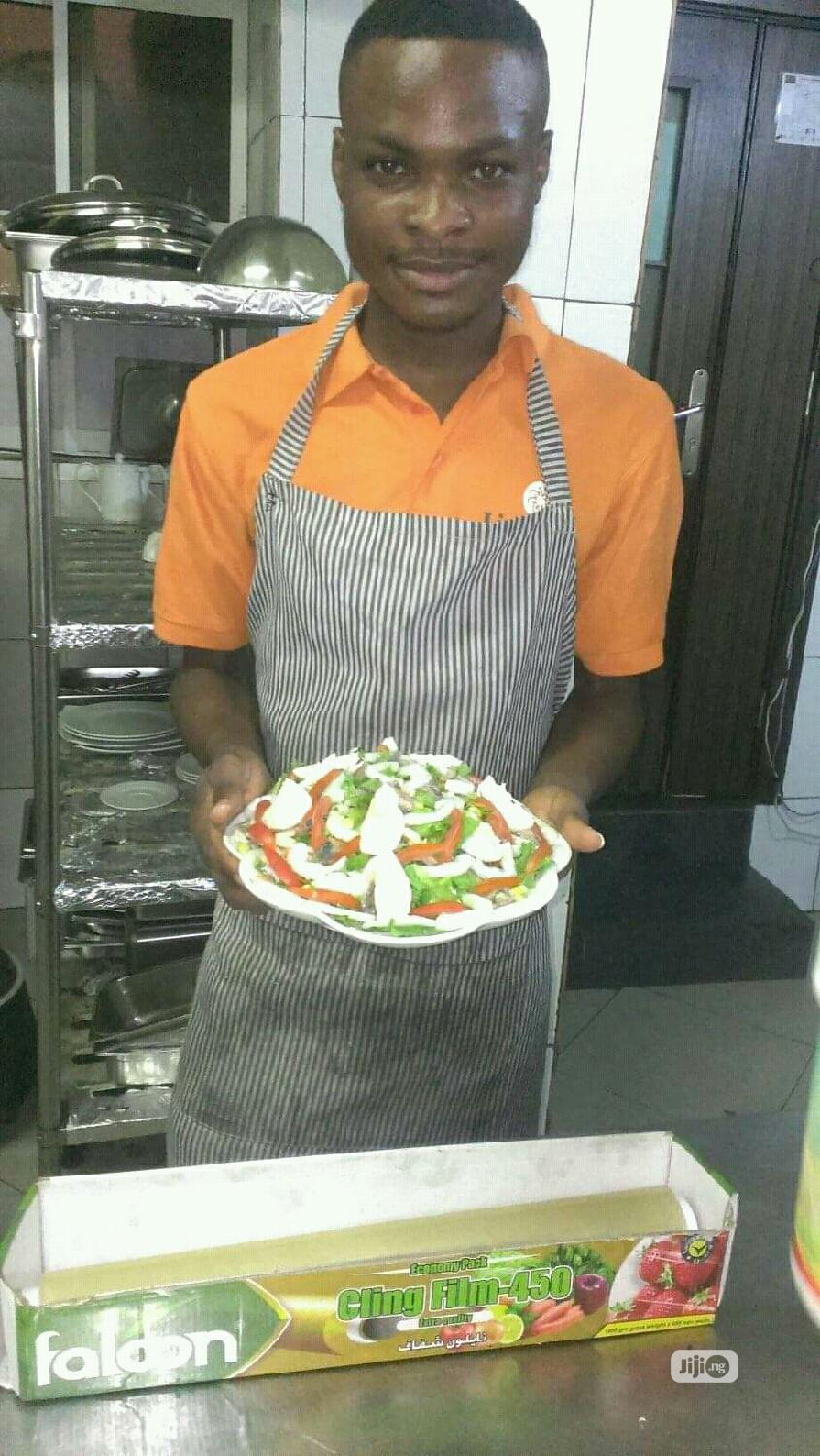 Professional House Chef/Steward