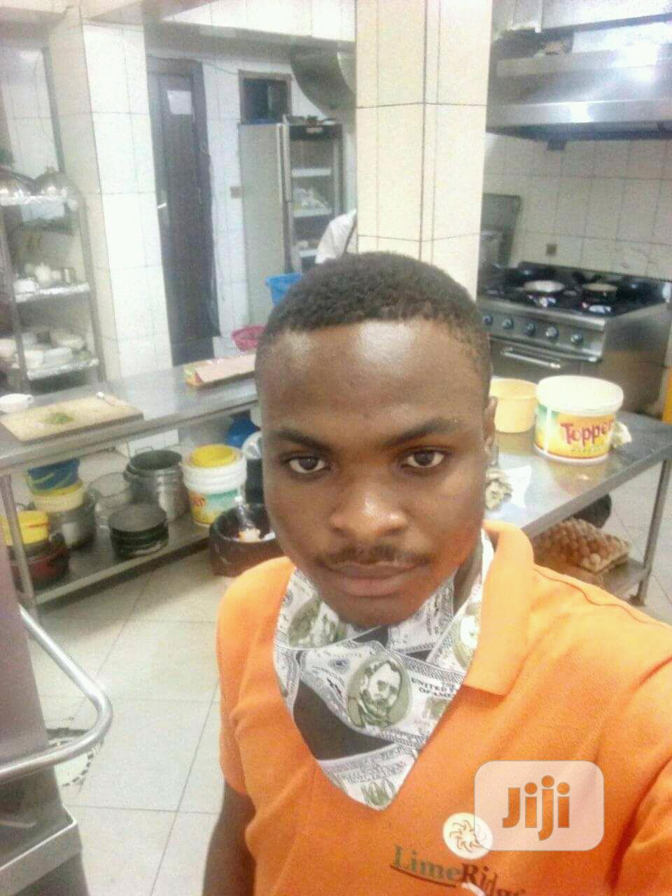 Professional House Chef/Steward